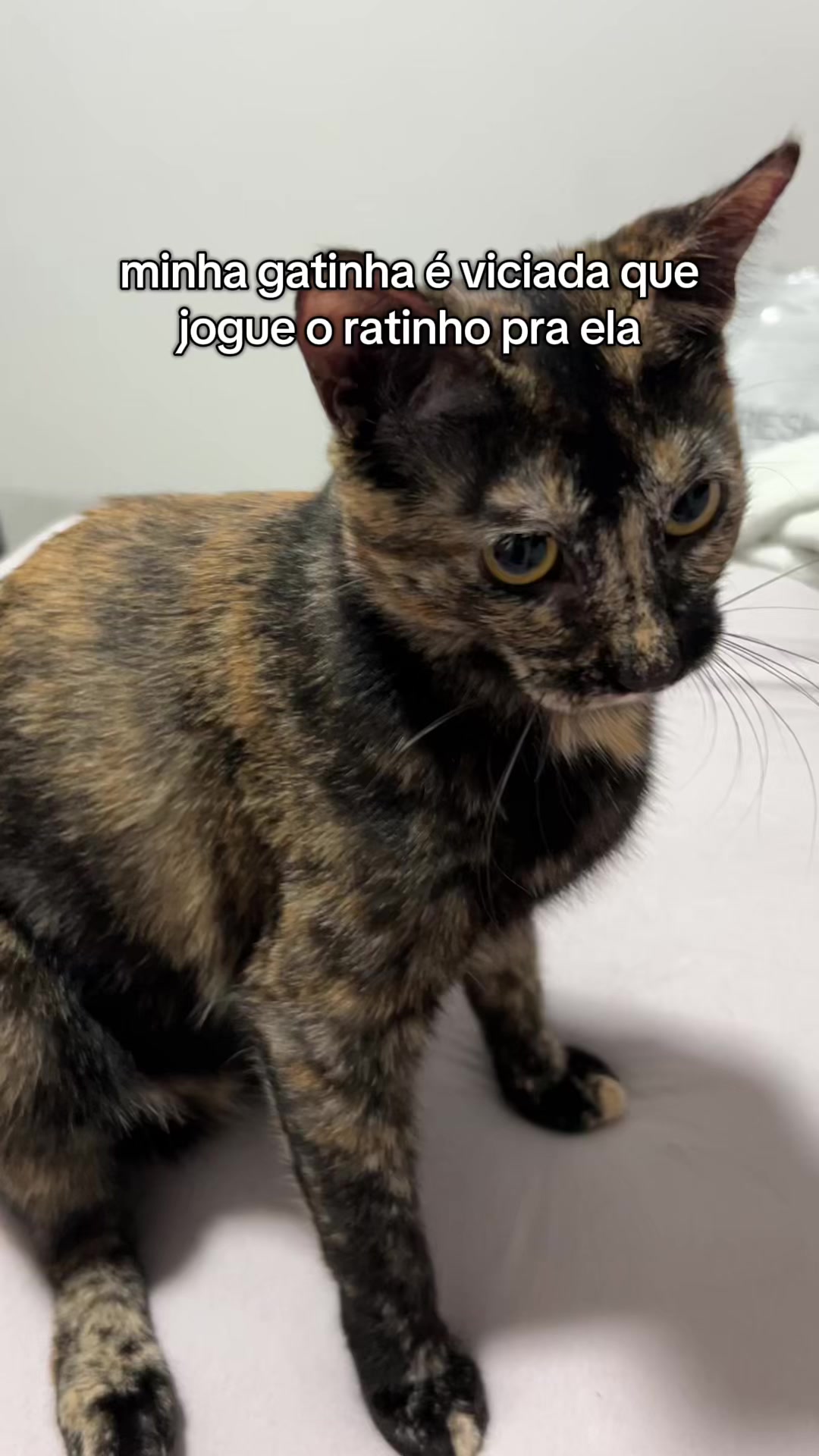 @eduarda