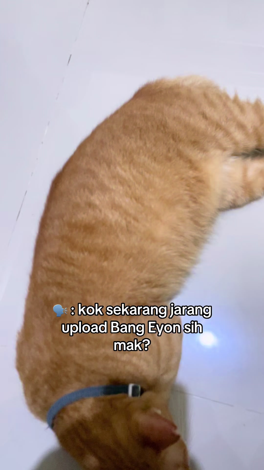 @Mommy, Eyon & Oyenz