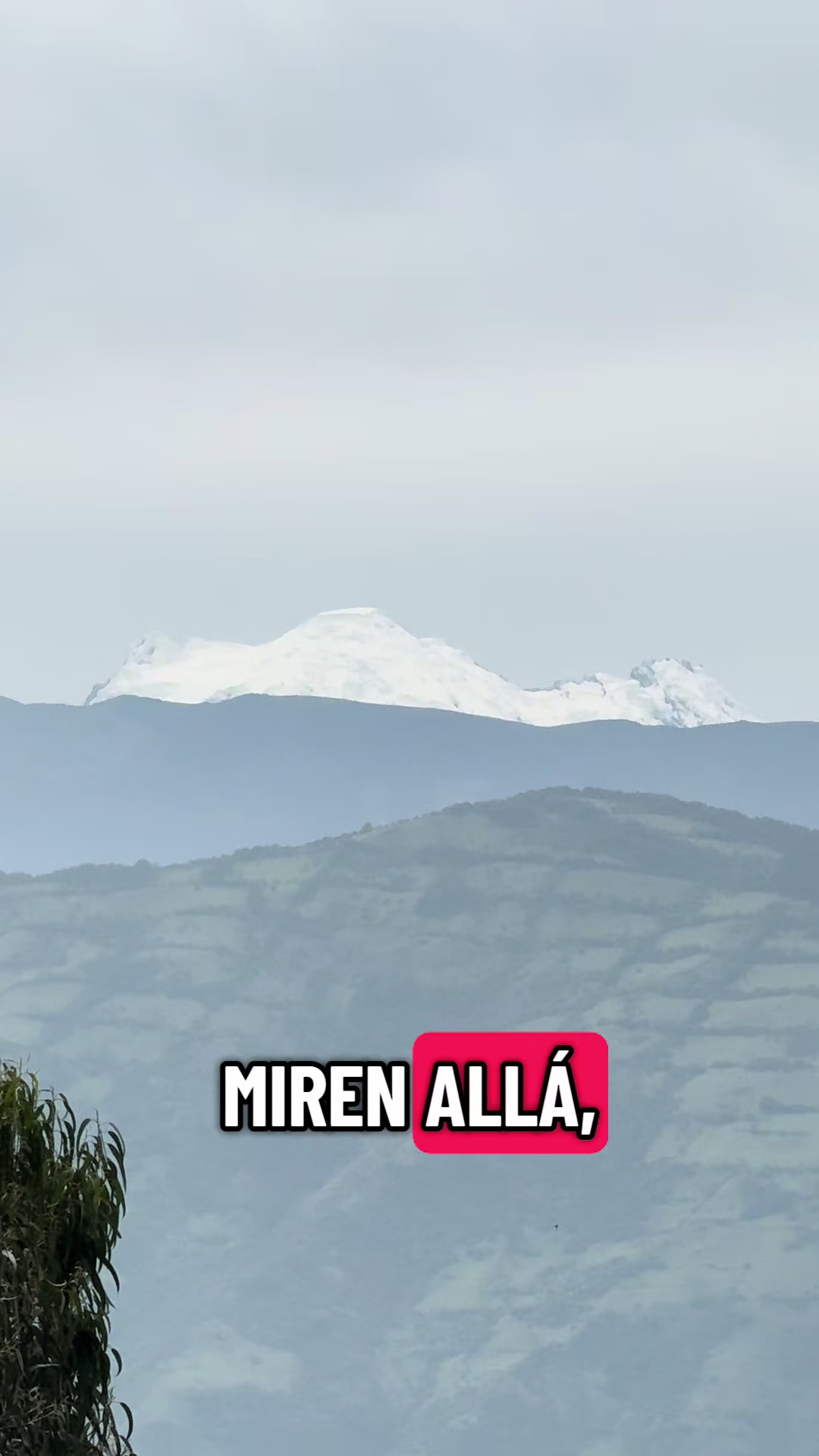 @Esteban Herrera
