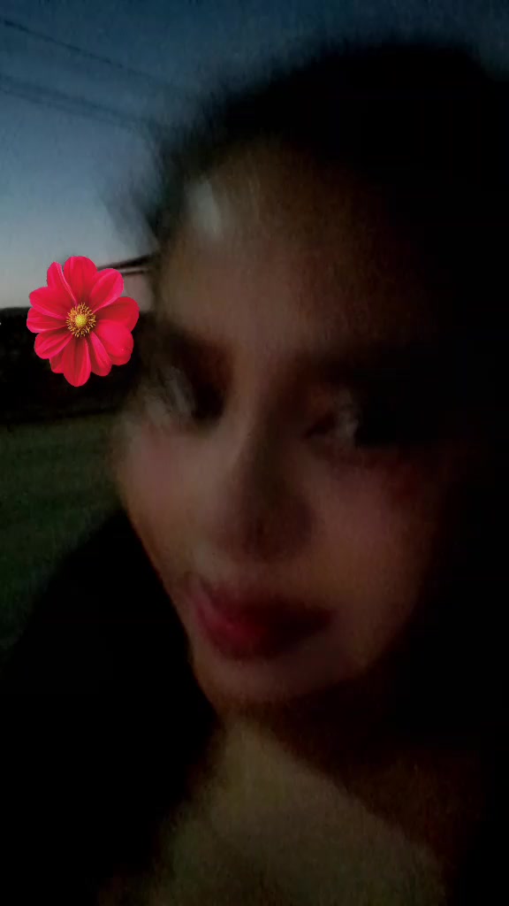 @hildetesilvaolive