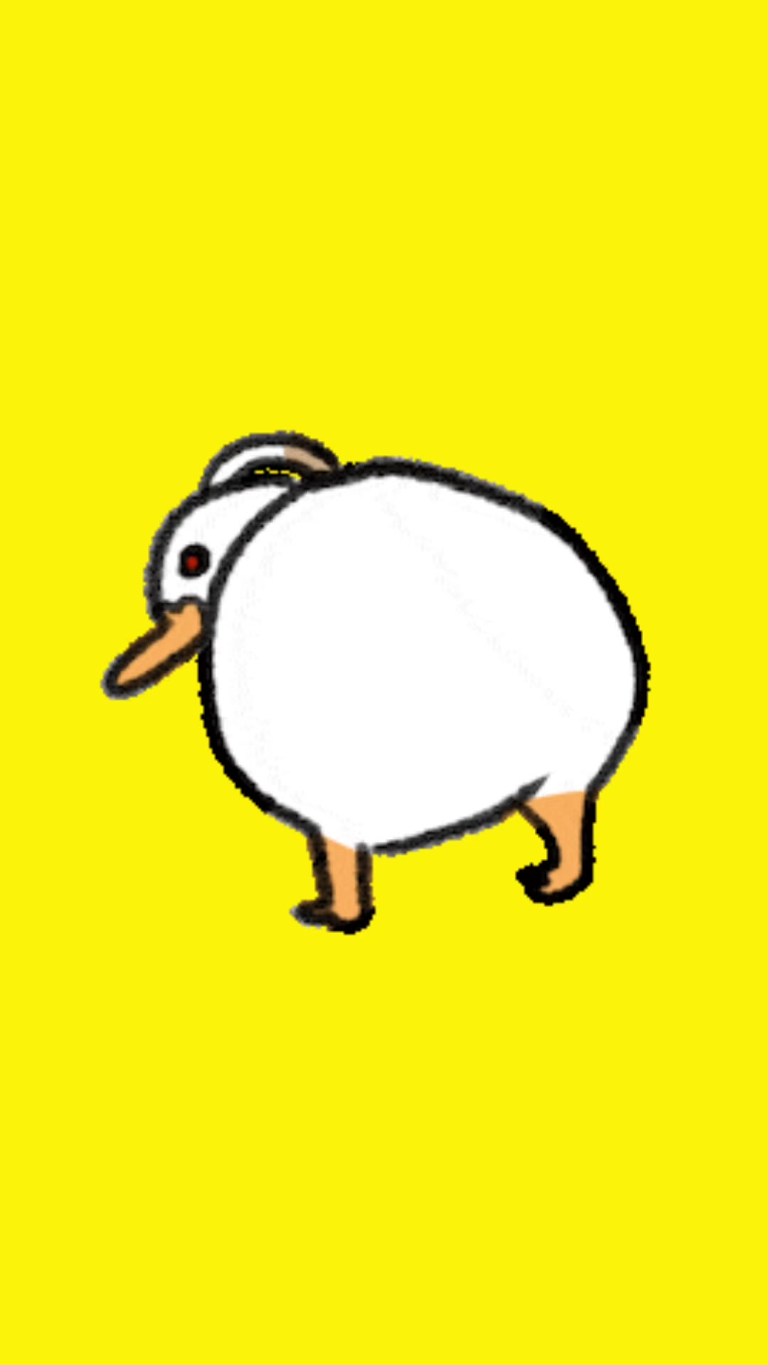 @put1n_top1