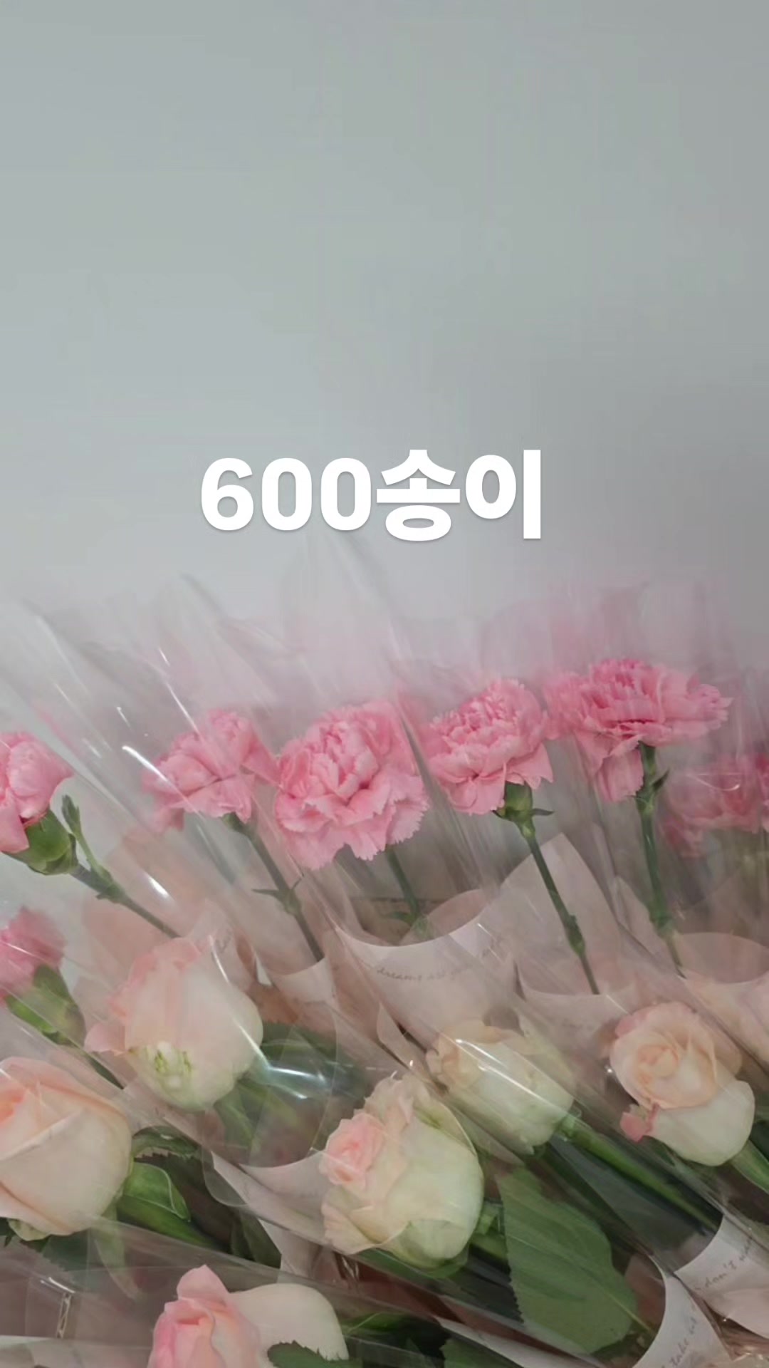 @바라24