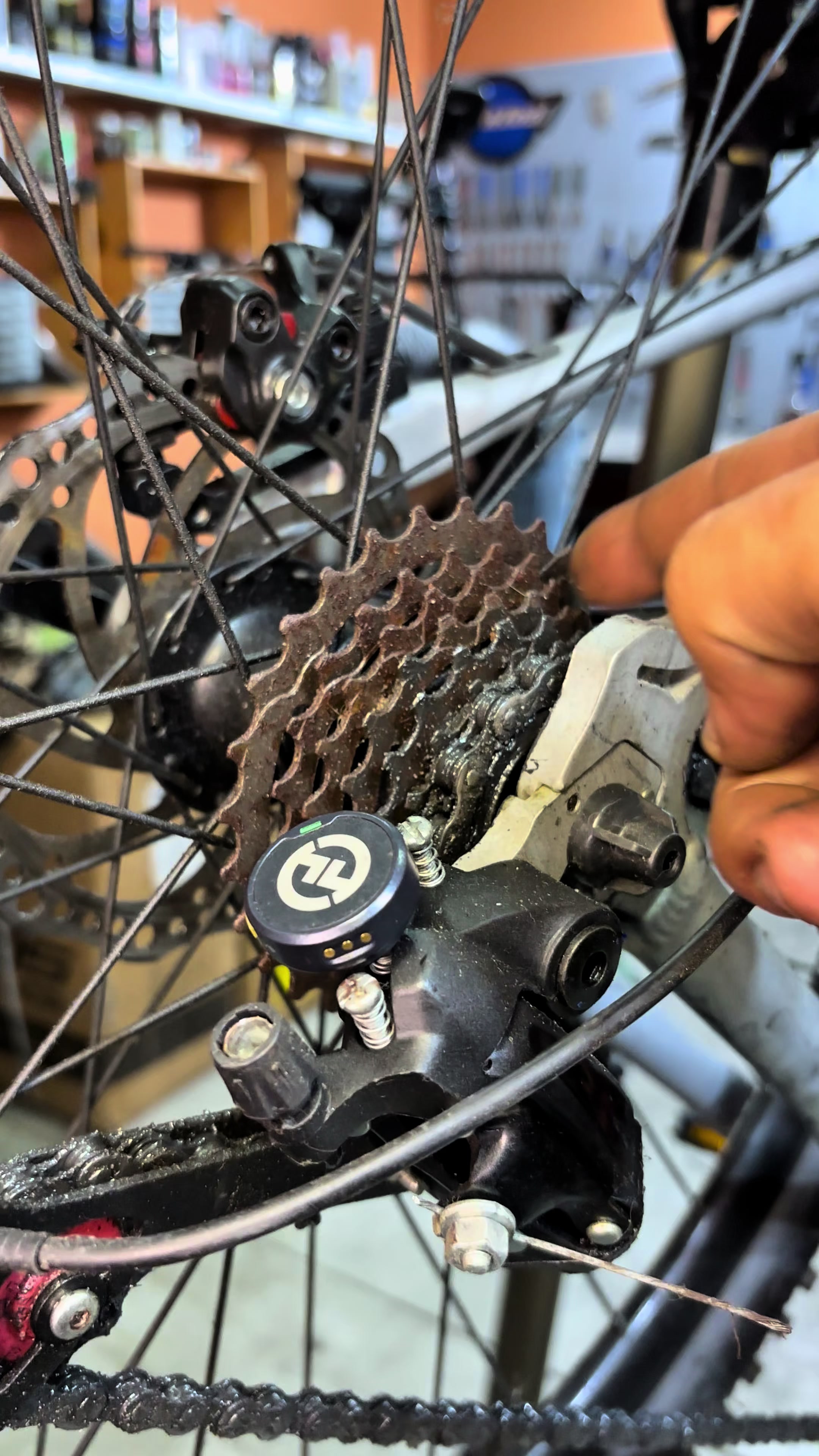 @TerraBike