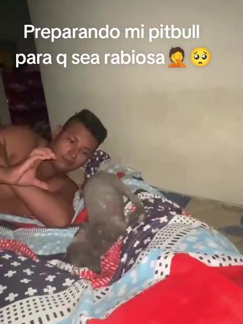 @❤️🔥Raul Jempatrik ❤️🔥