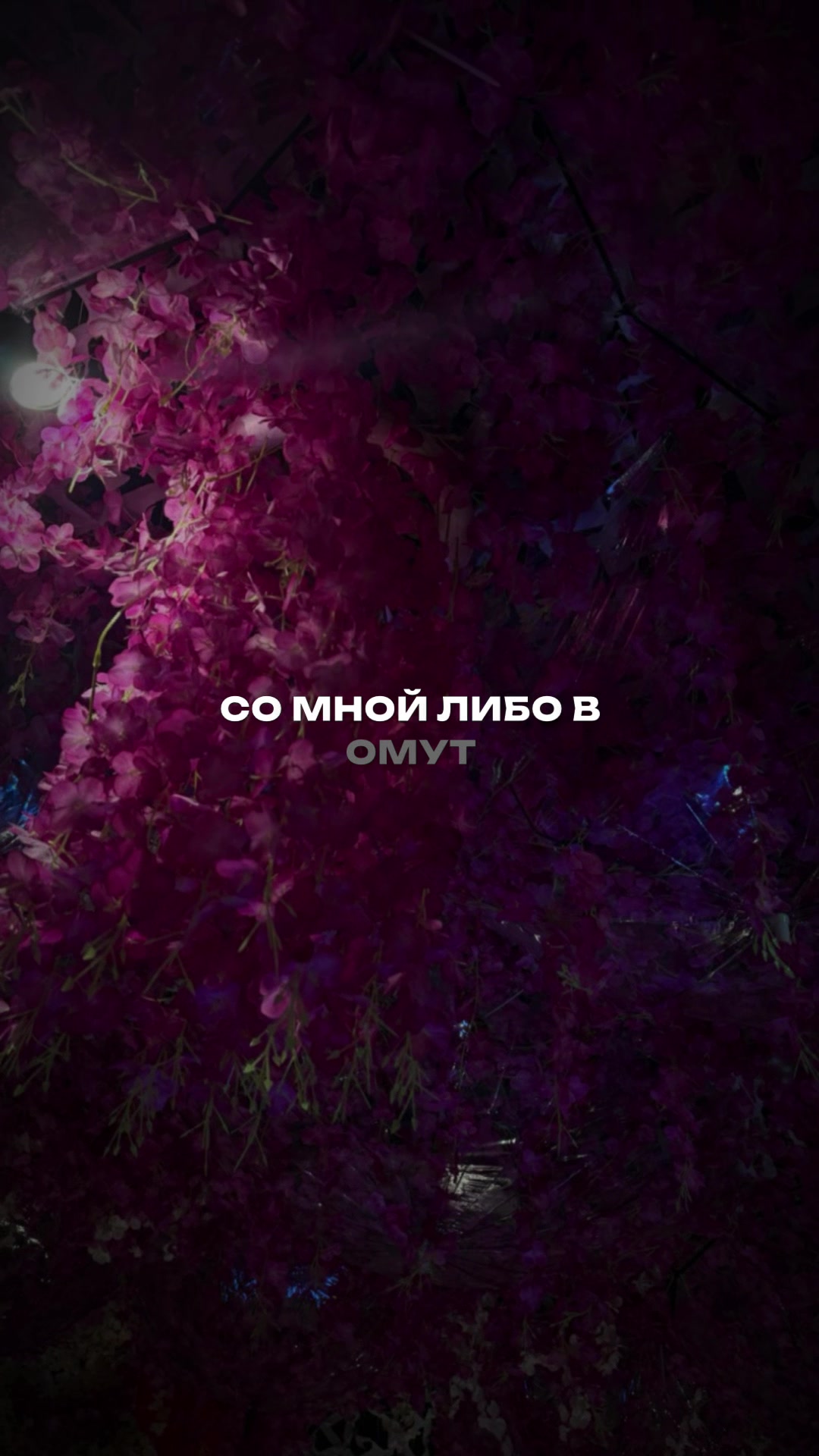 @MusicTemplates