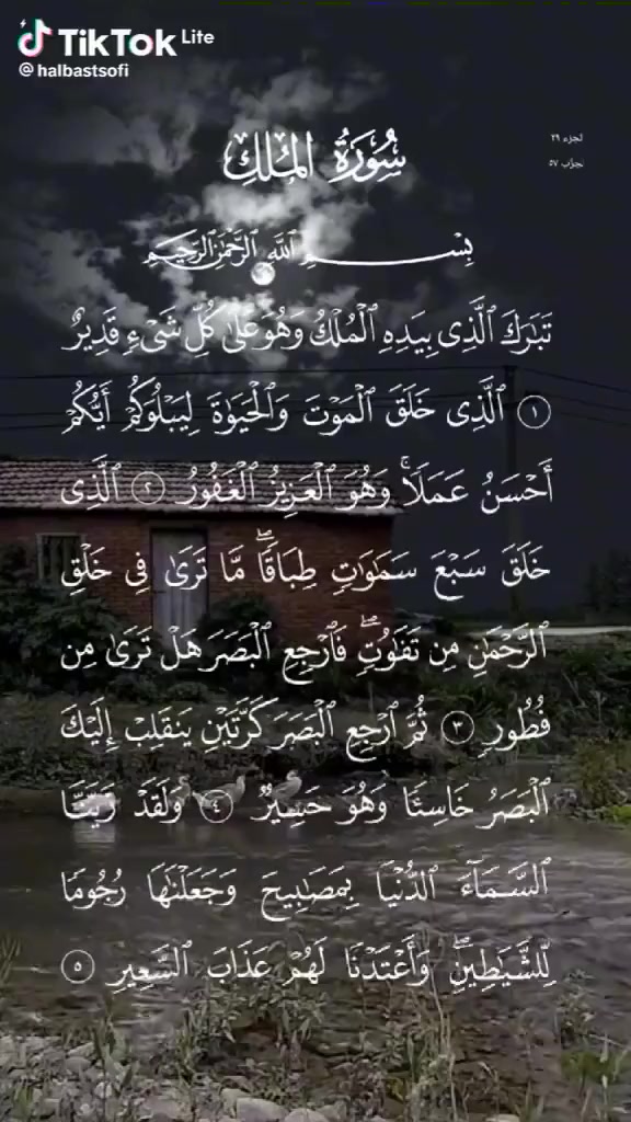 @amiraaamira
