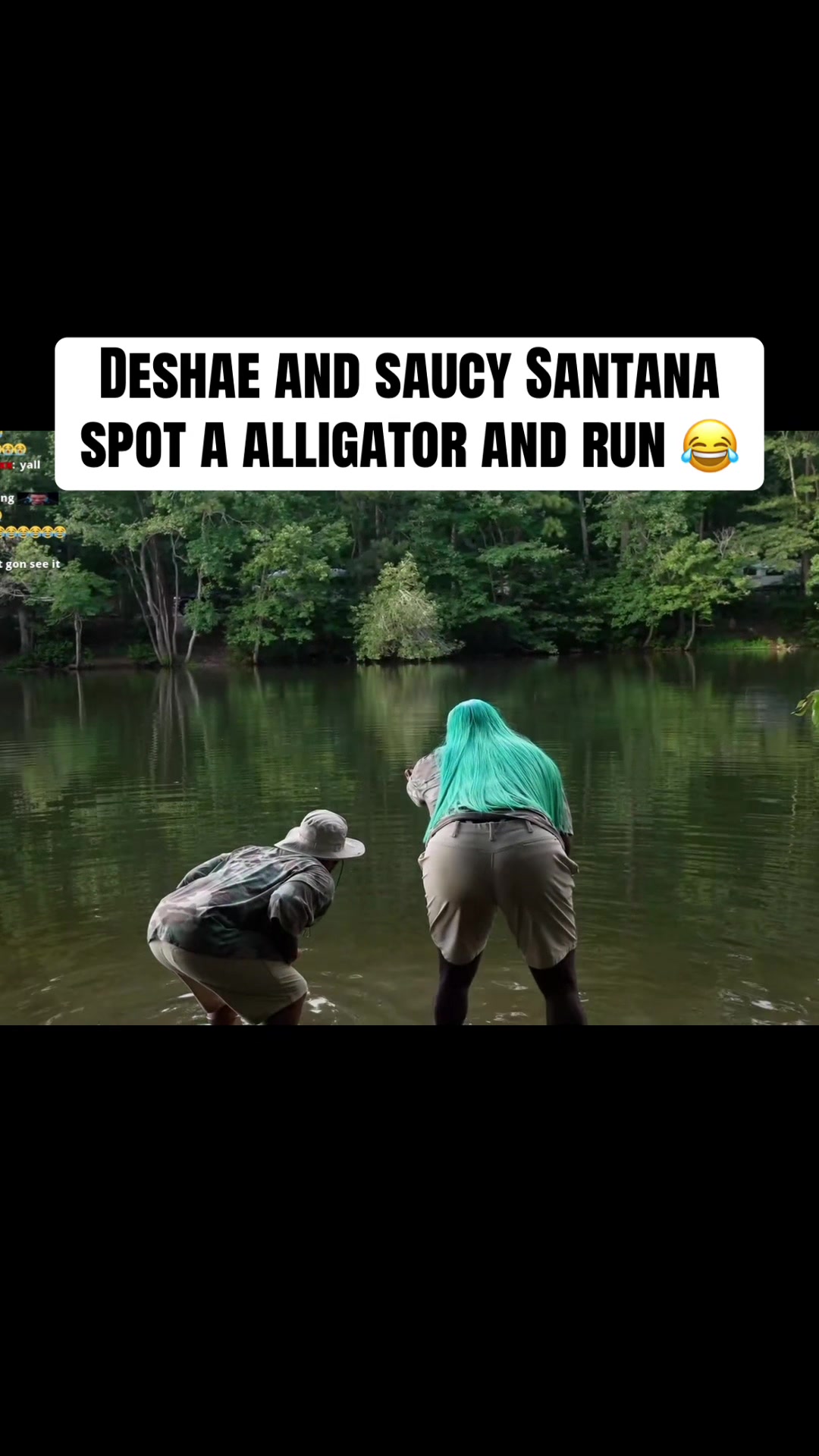 @laiclippedthat