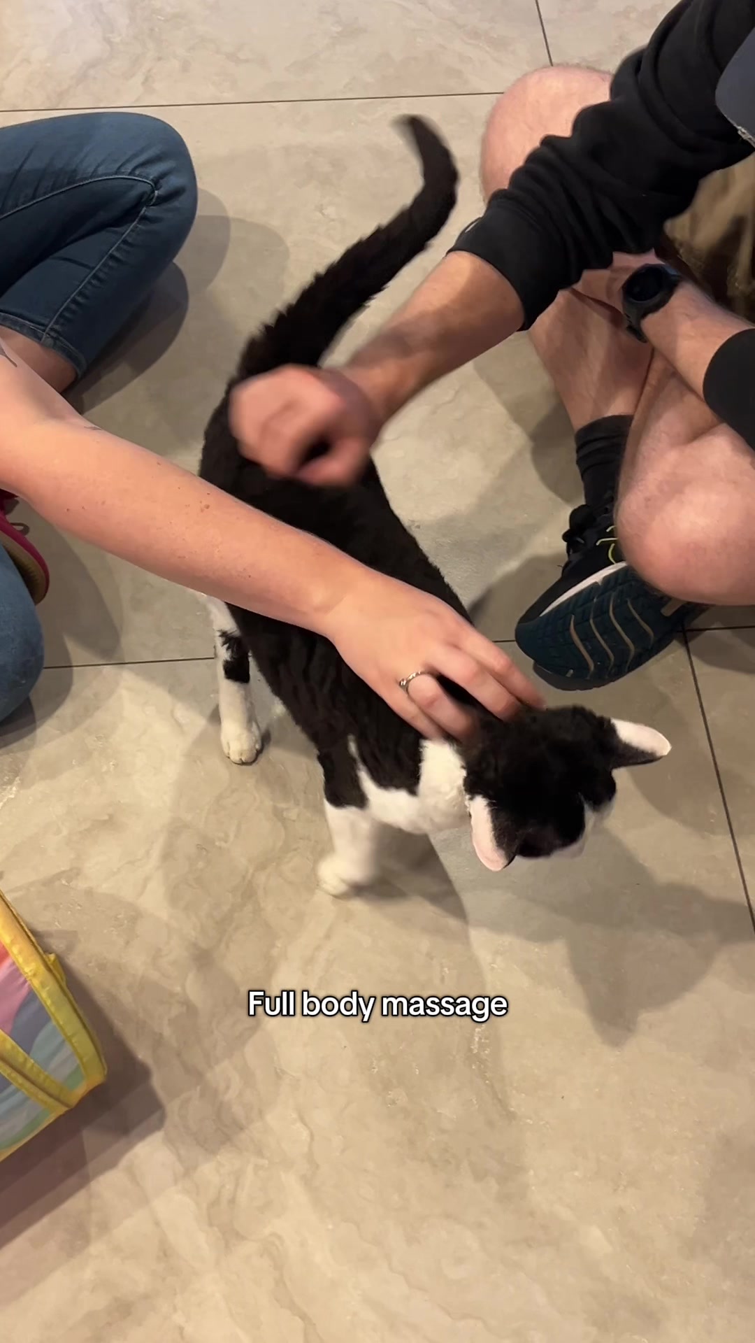 @crazycatcafe