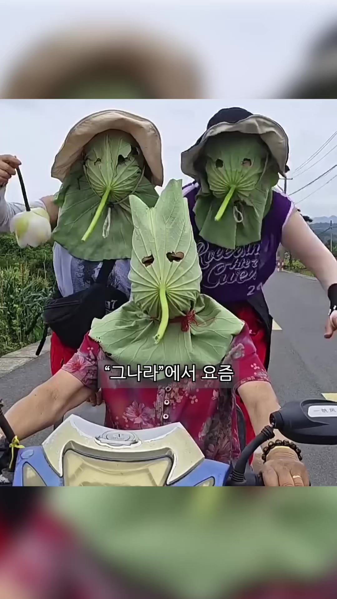 @리뷰하는회사원