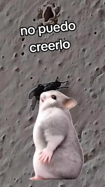 @⚡Tormenta⚡