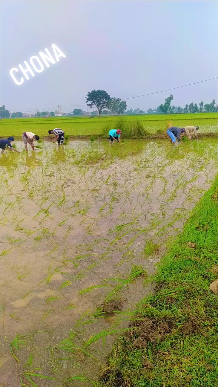 @Aلi SUلEHRI 🚩