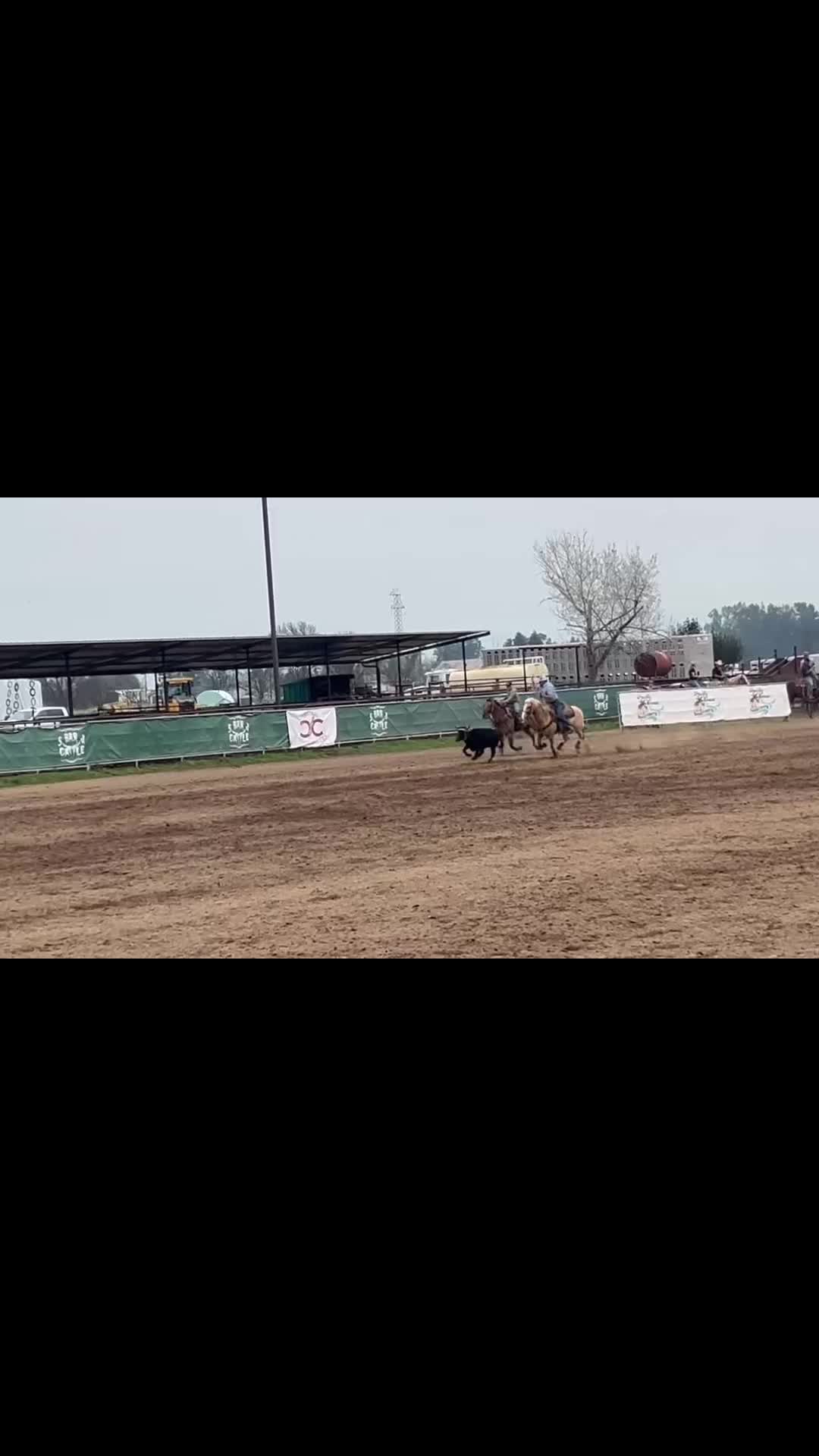 @Cord Forzano Rope Horses