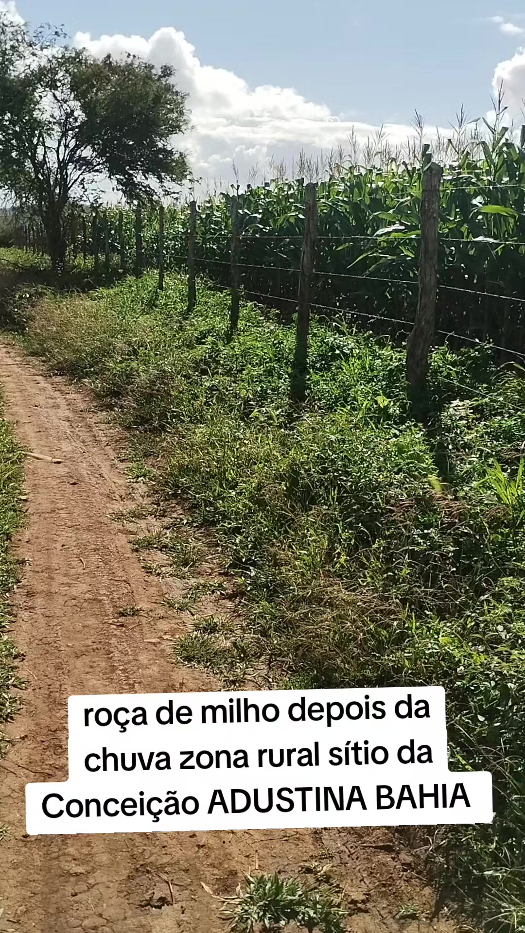 @PAULO MATOS 🇧🇷