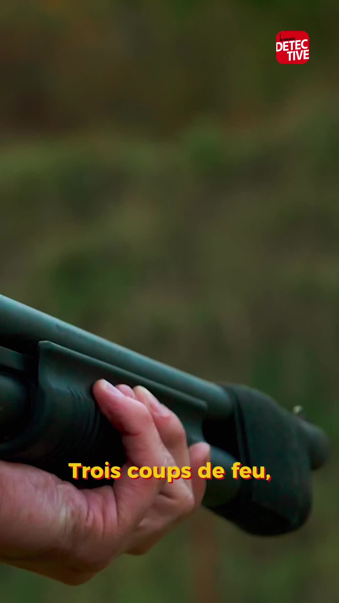 @lenouveaudetective
