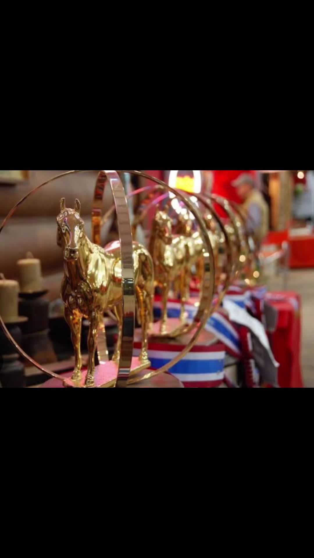 @JD Show Horses
