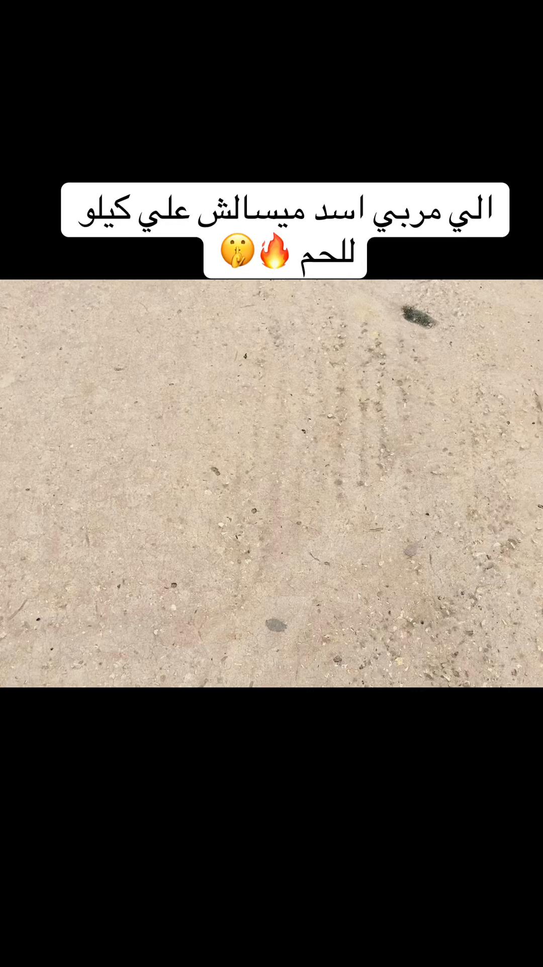 @حمادي الحاسي الحاسي
