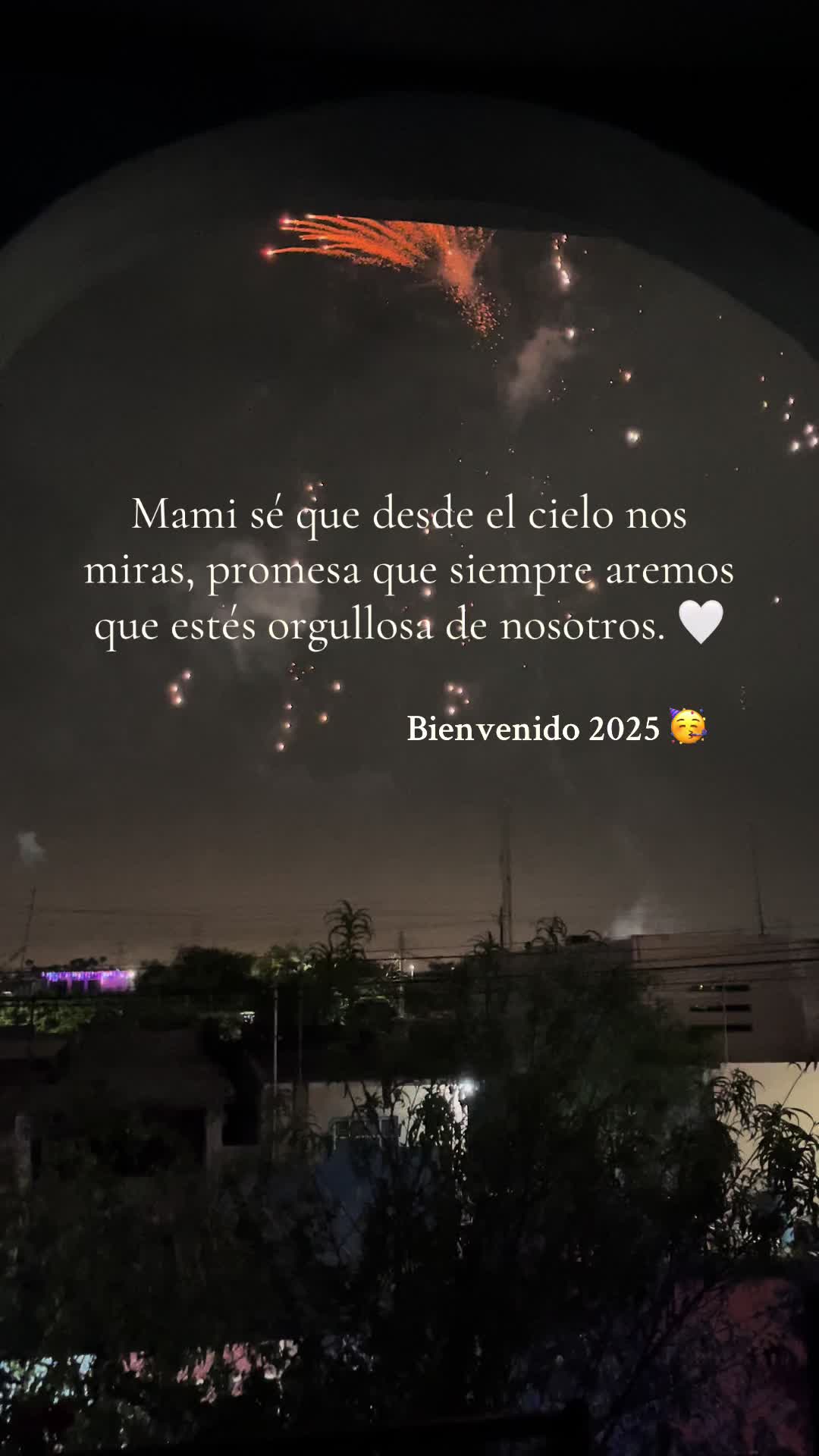 @Sofia Armenta