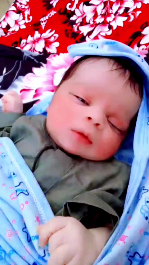 @inzamam jani