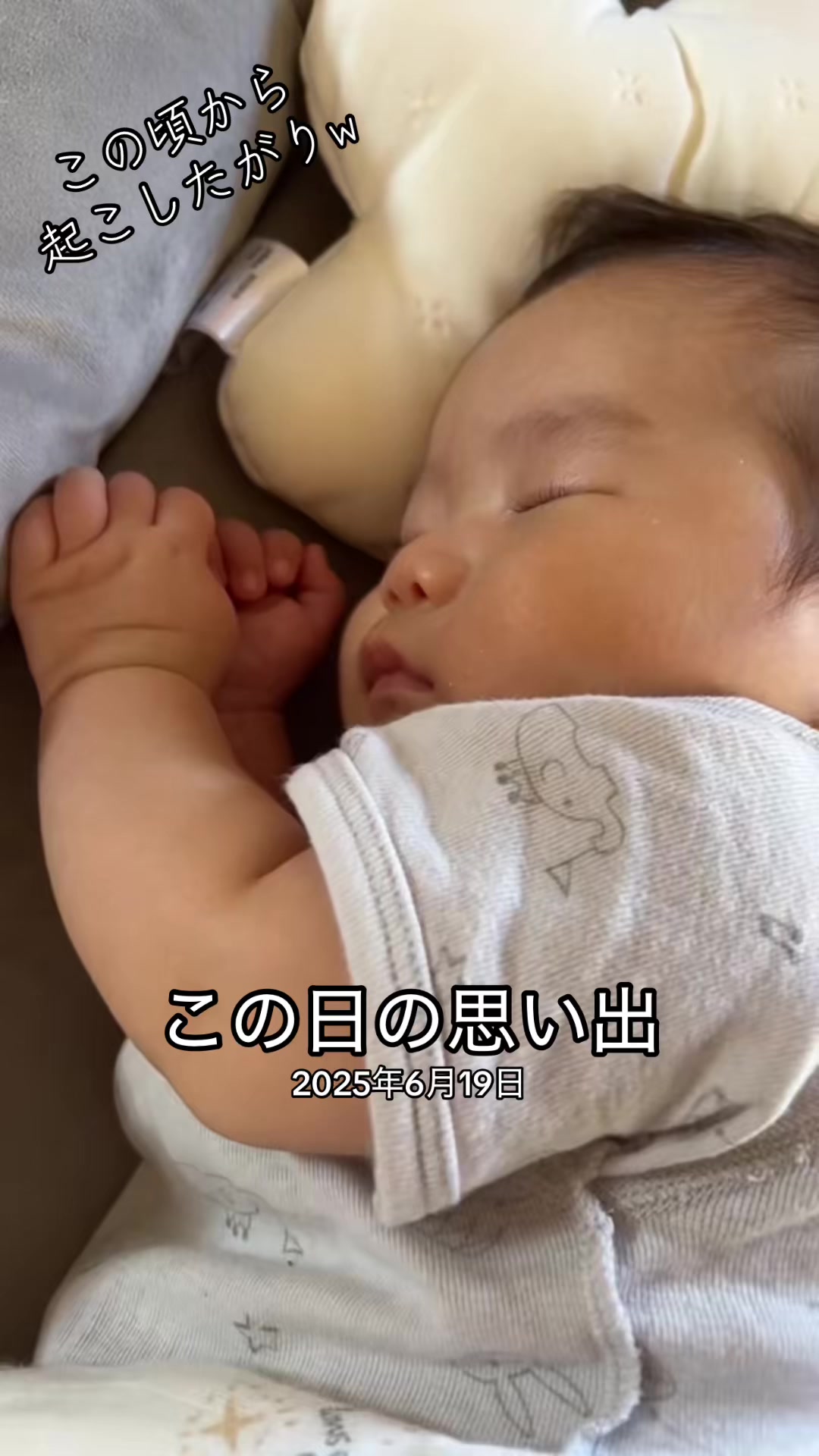 @とらままんち