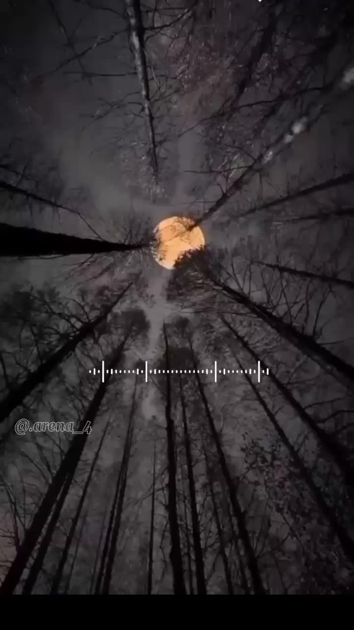 @M&uacute;sica para el coraz&oacute;n🎶❤️&zwj;🩹