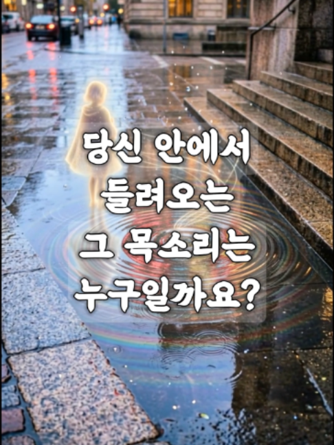 @빛의 씨앗