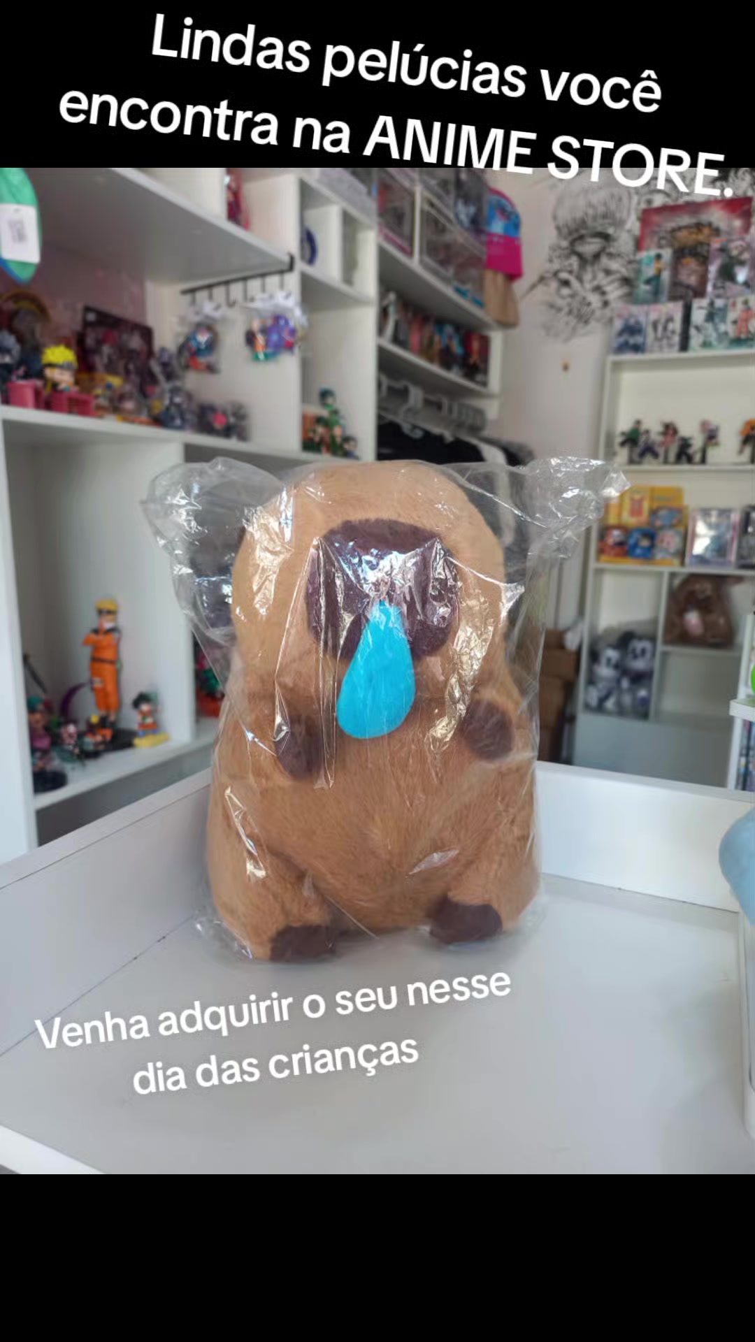@Anime Store - A loja de anime