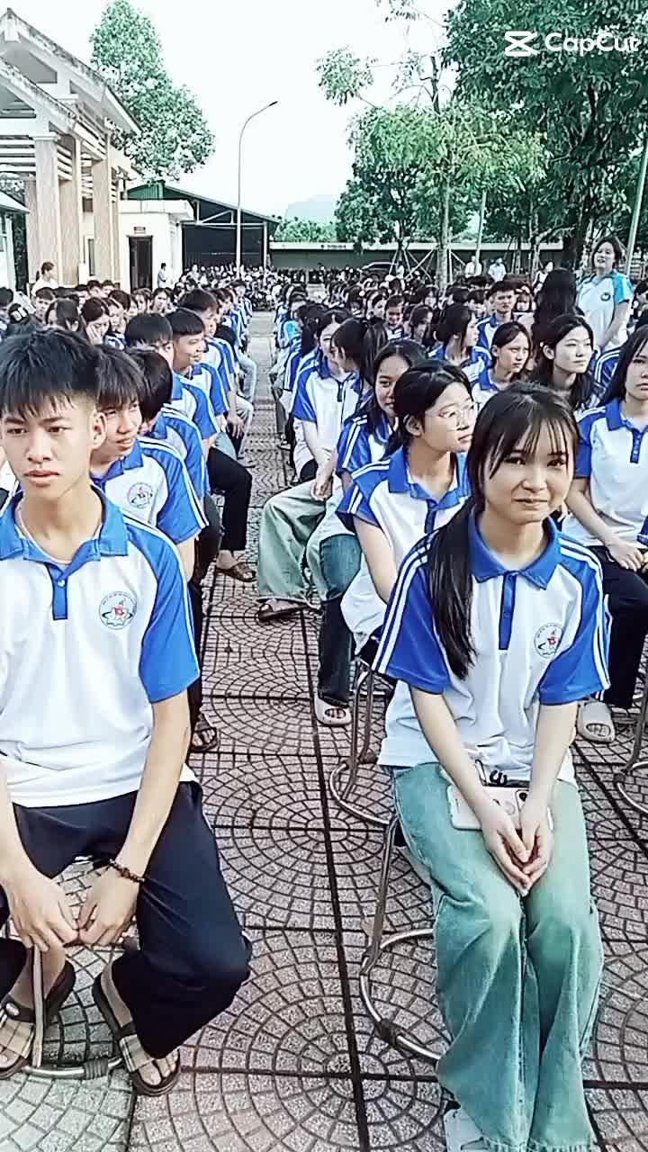 @T.Nga