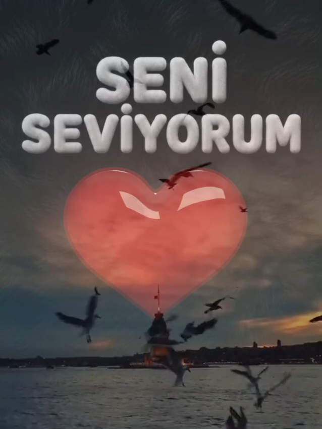 @SHOW İS NAME