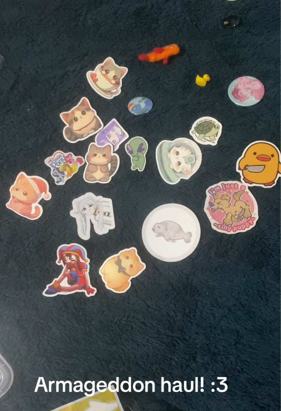 @∘✩ ᴍᴀᴘʟᴇ ✩∘ 🦴