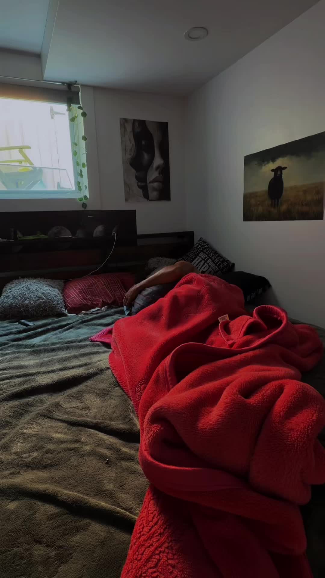 @banexelDawson