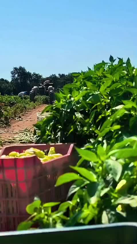 @योगेश गुरुङ्२🇳🇵♥️🇬🇷