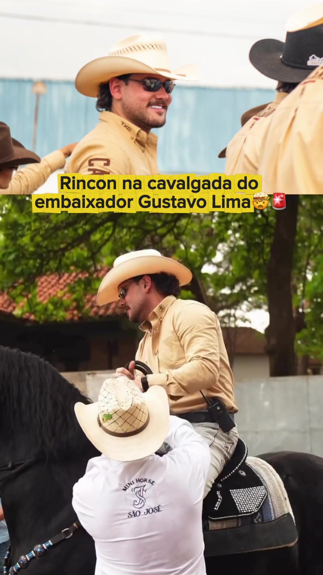 @Rcn061.cortesz