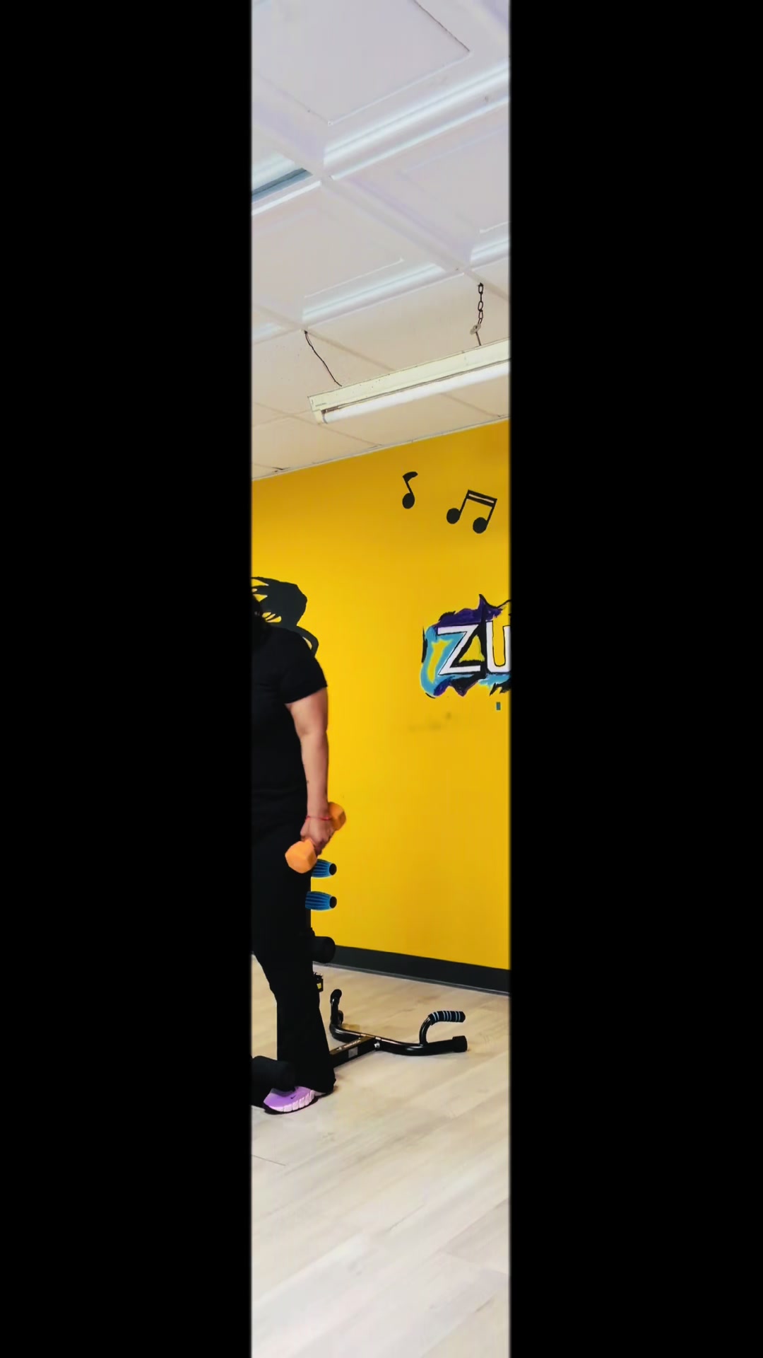 @Zumbadri
