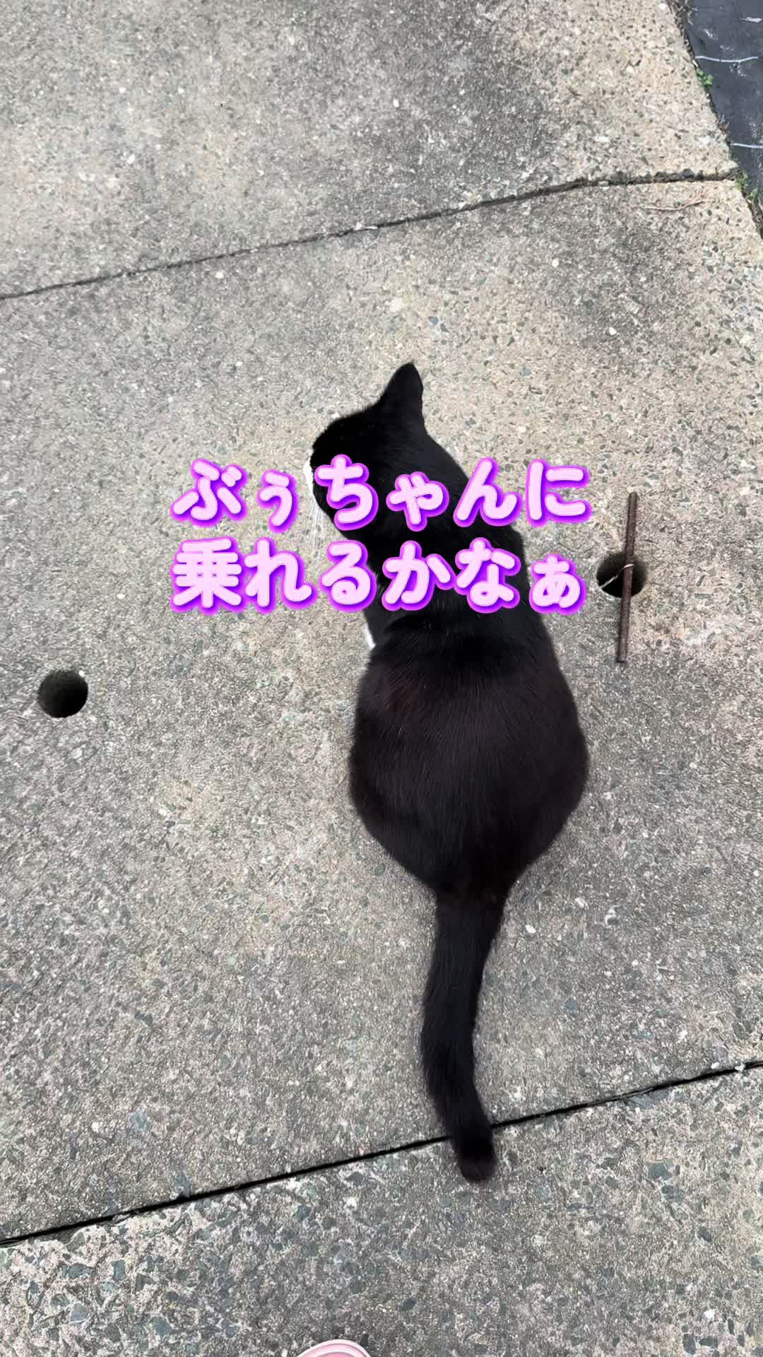 @JUN🍓👑農家のオバタン