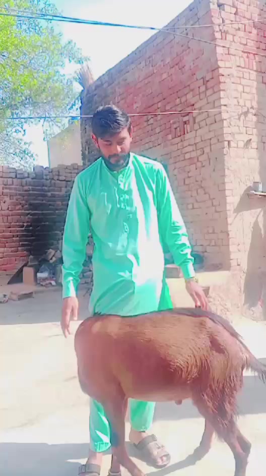 @Zahidjutt