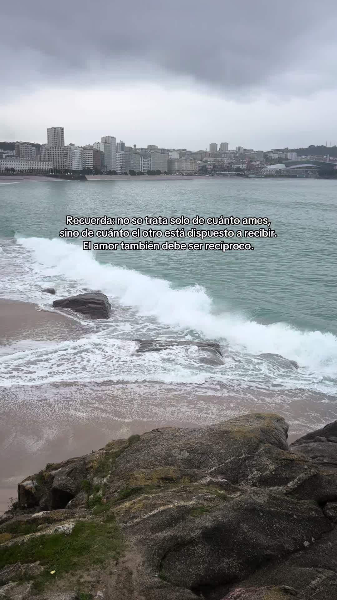 @Yuli🧚