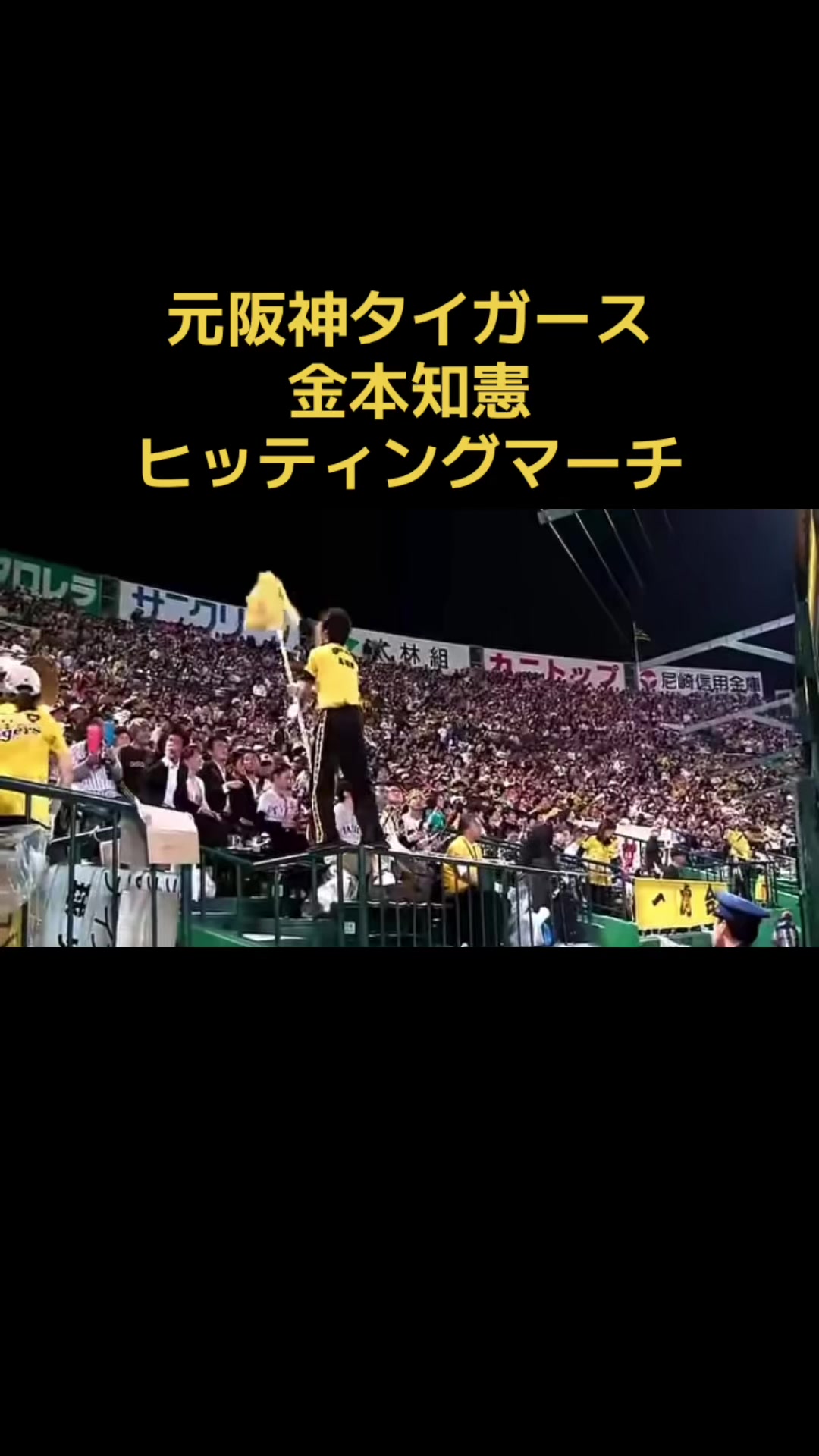 @木漏れ日