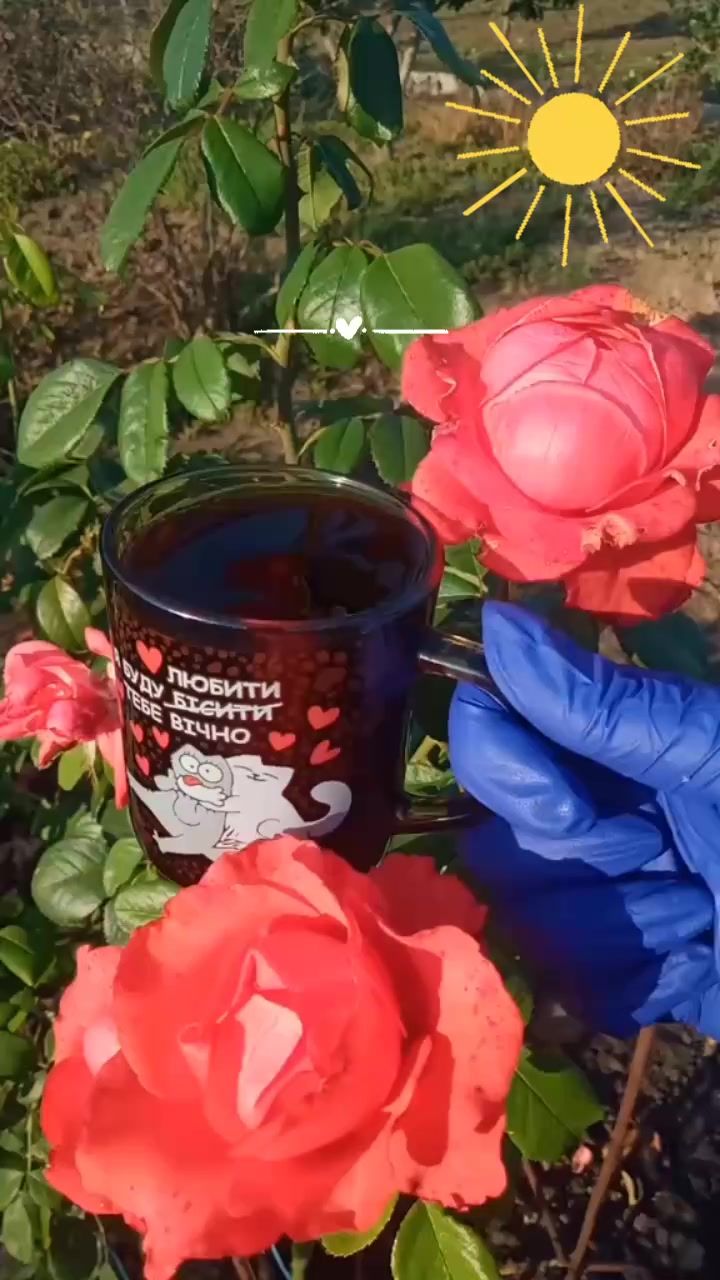 @🇺🇦 СВАХА 🇺🇦