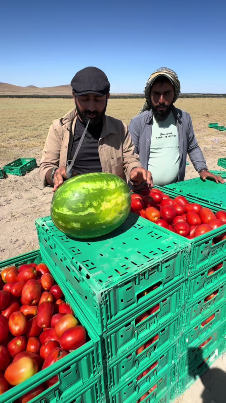 @İbrahim çiftçibaşı