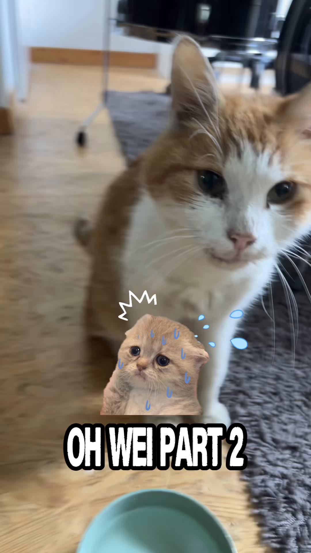 @мɪке