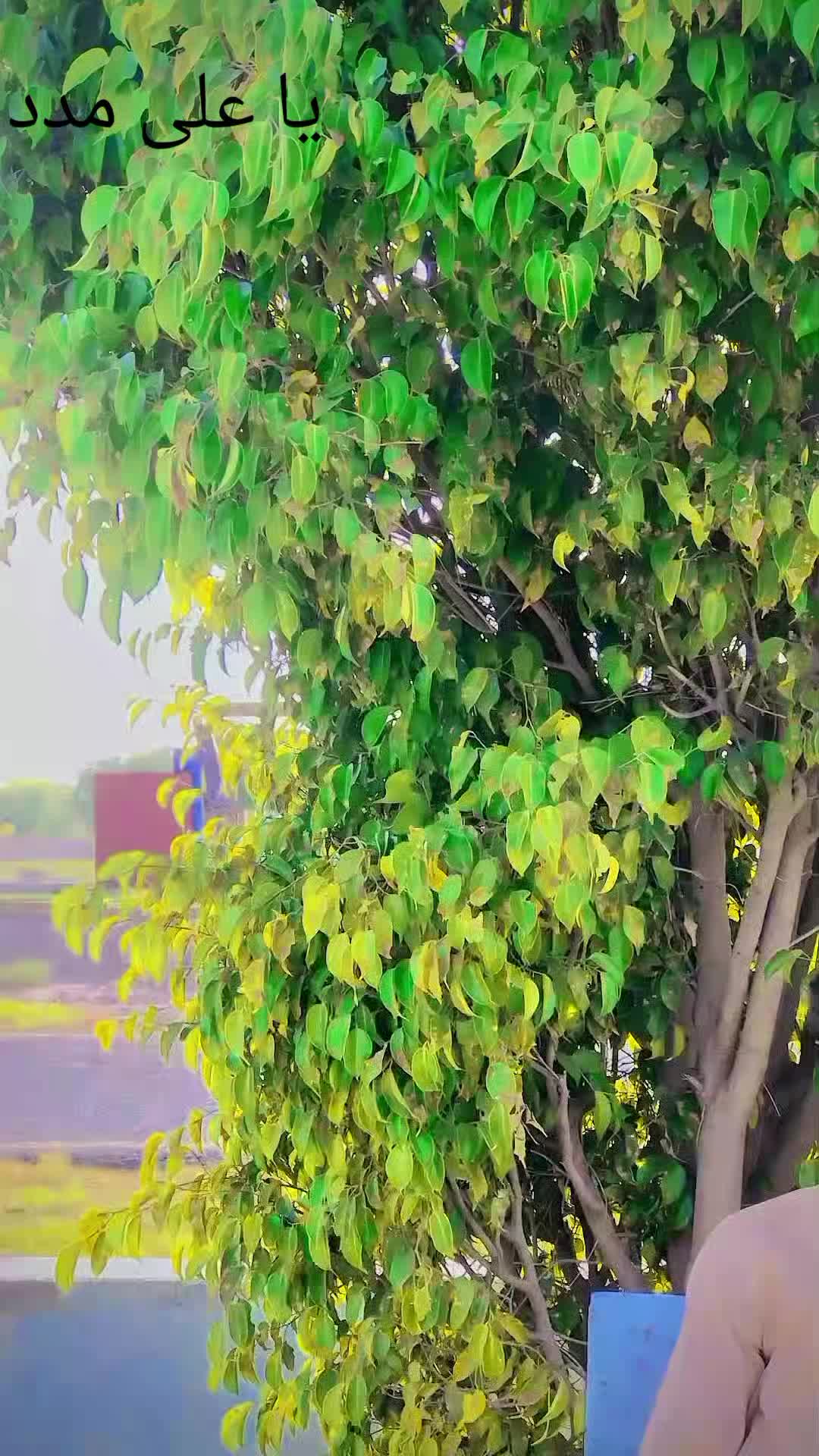 @[Haseeb khan]