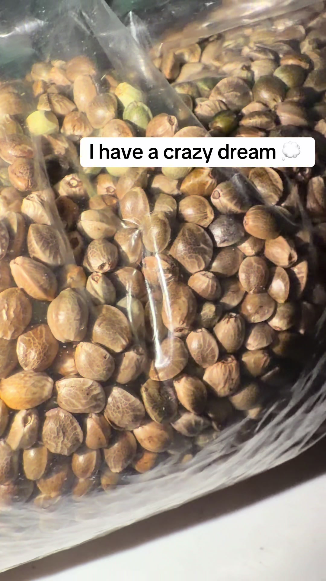 @SEEDTIVA