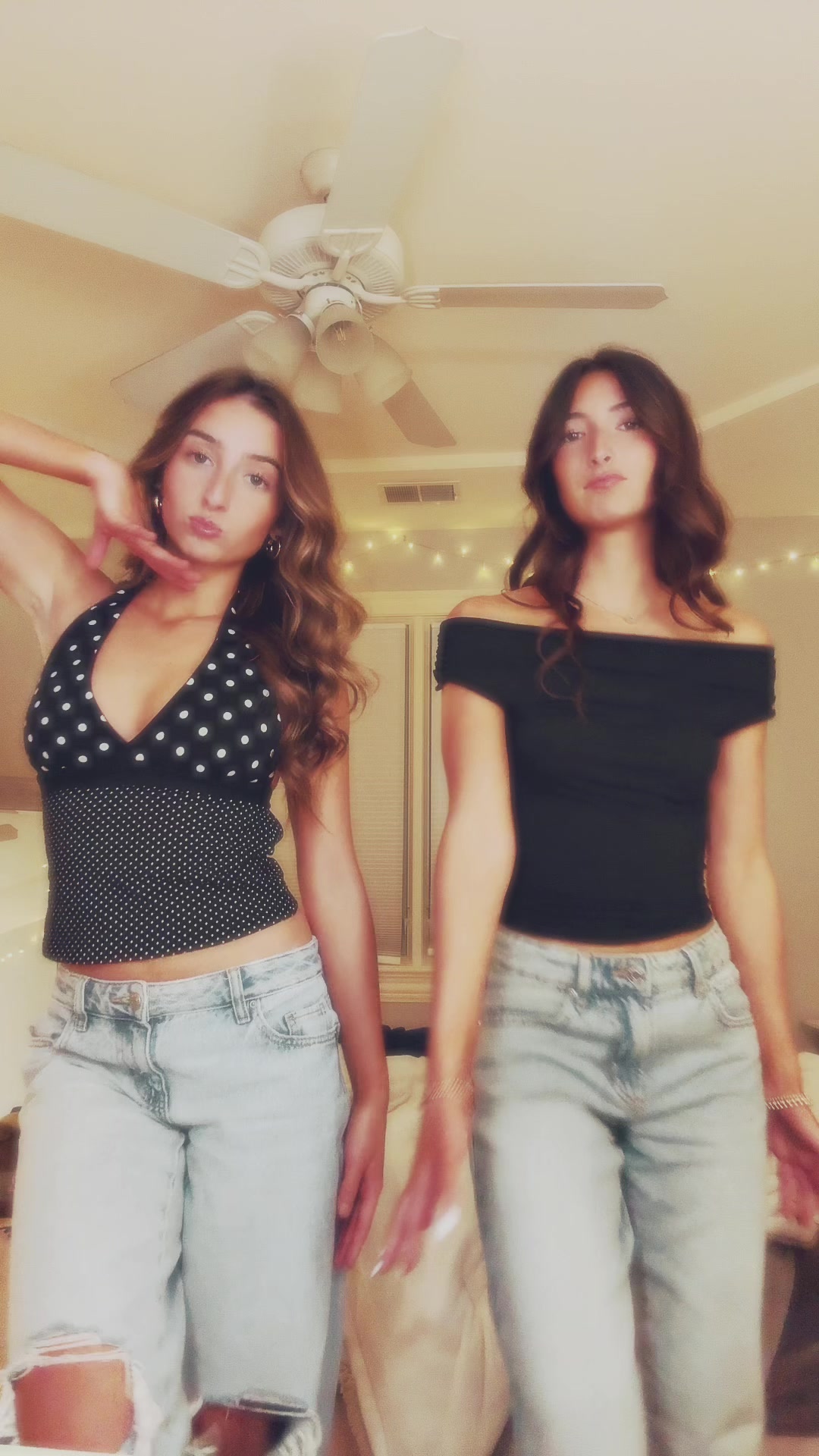 @dani