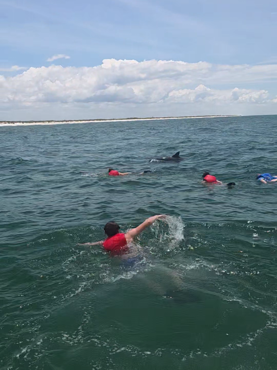 @Shell Island Dolphin Tours 🐬