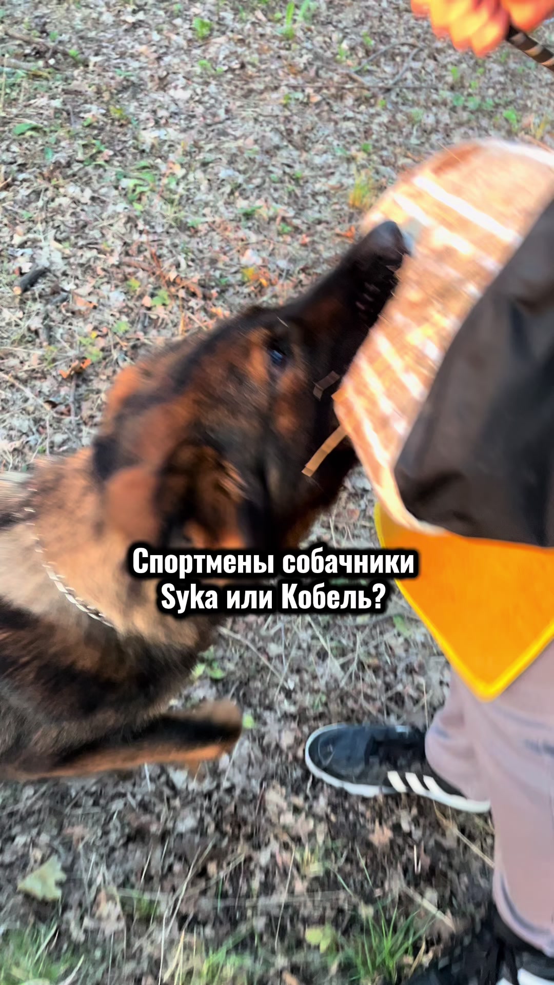 @twoi_kinolog