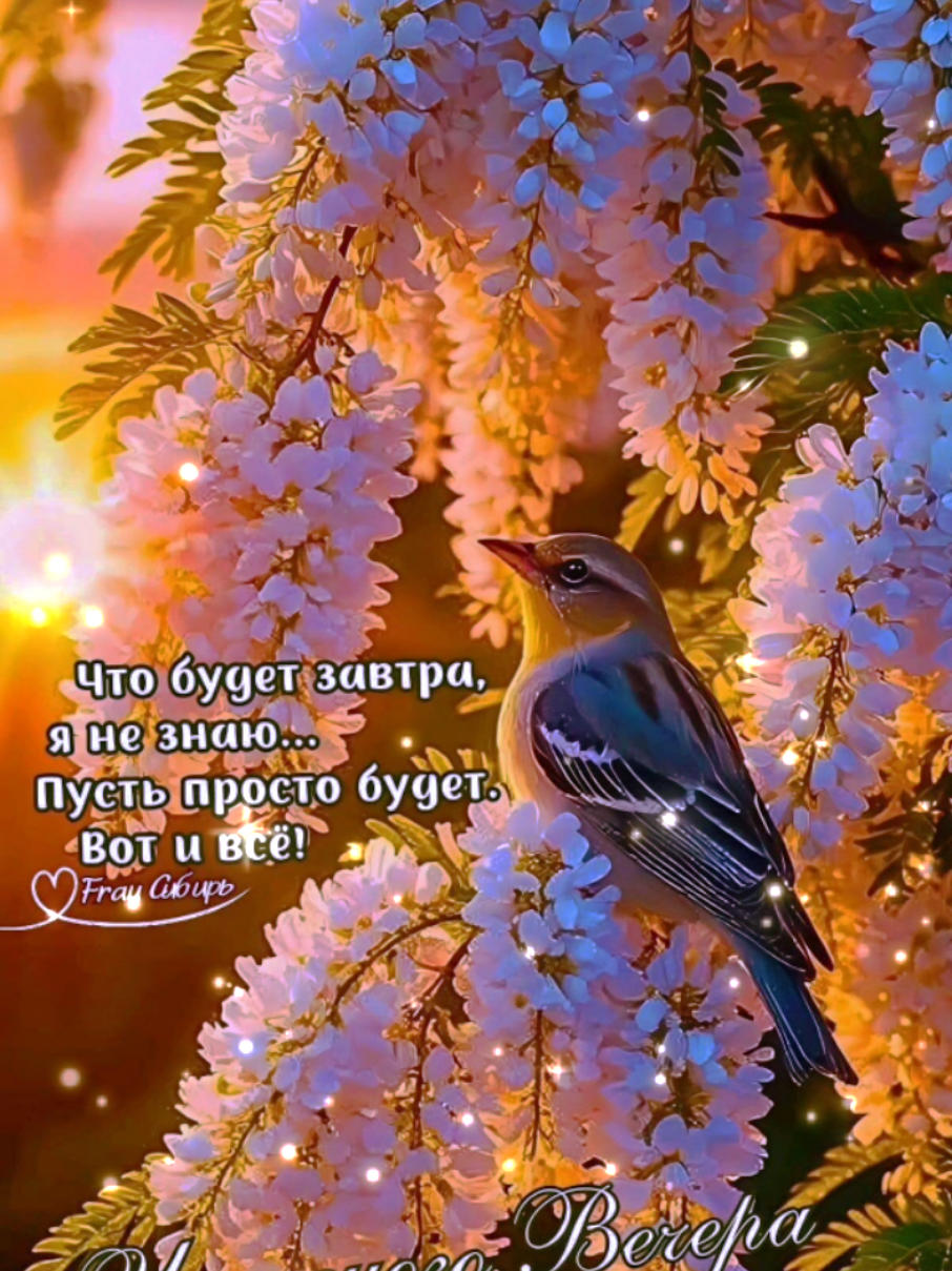@💫✨️natalia_3✨️💫
