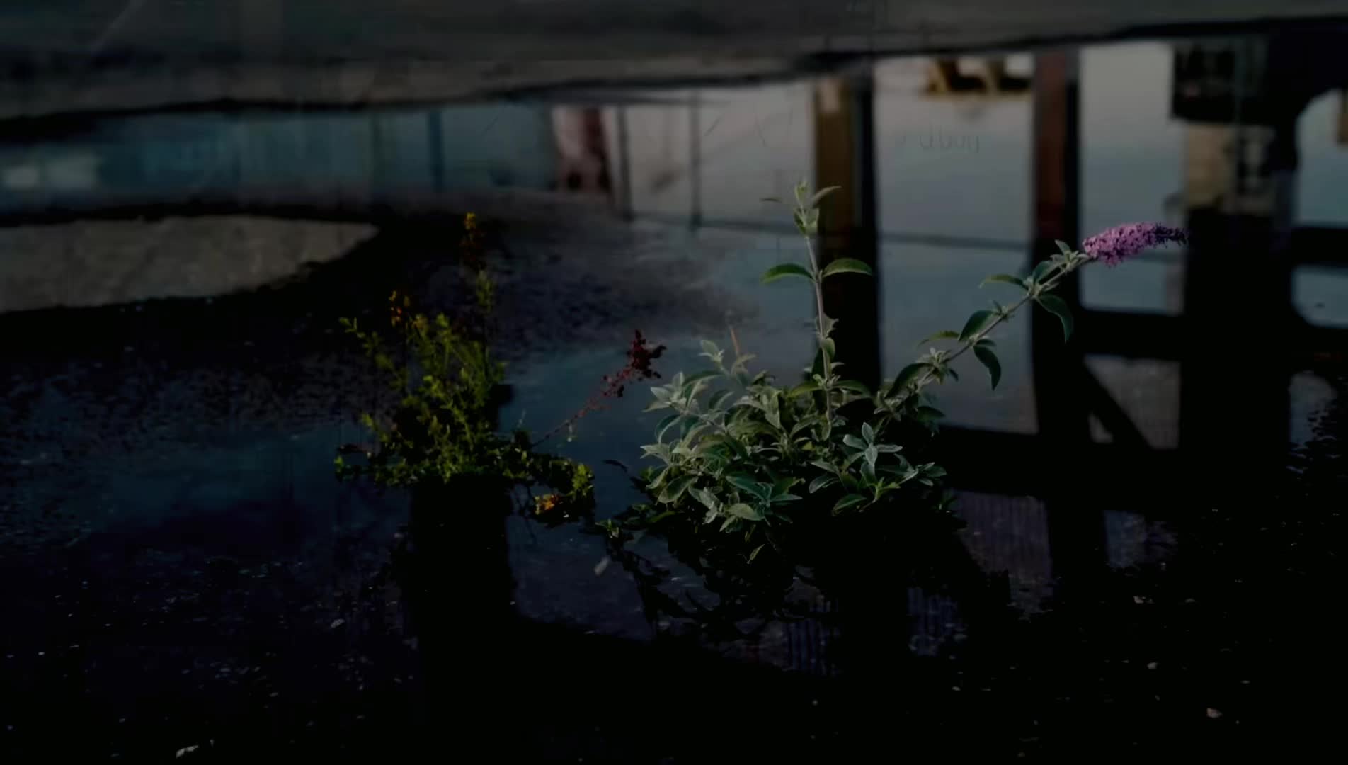 @𝑺𝑼𝑪𝑪𝑬𝑺.