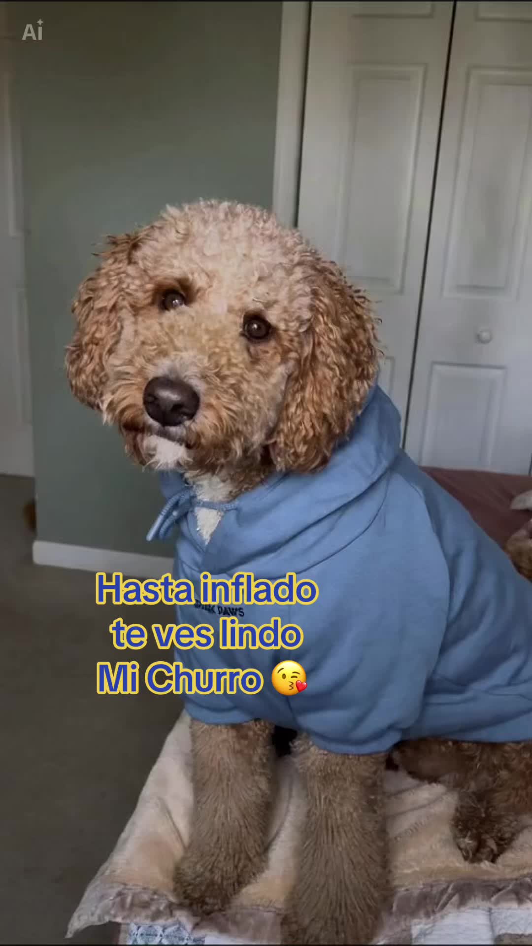 @Reyna y Churro 🐶😍