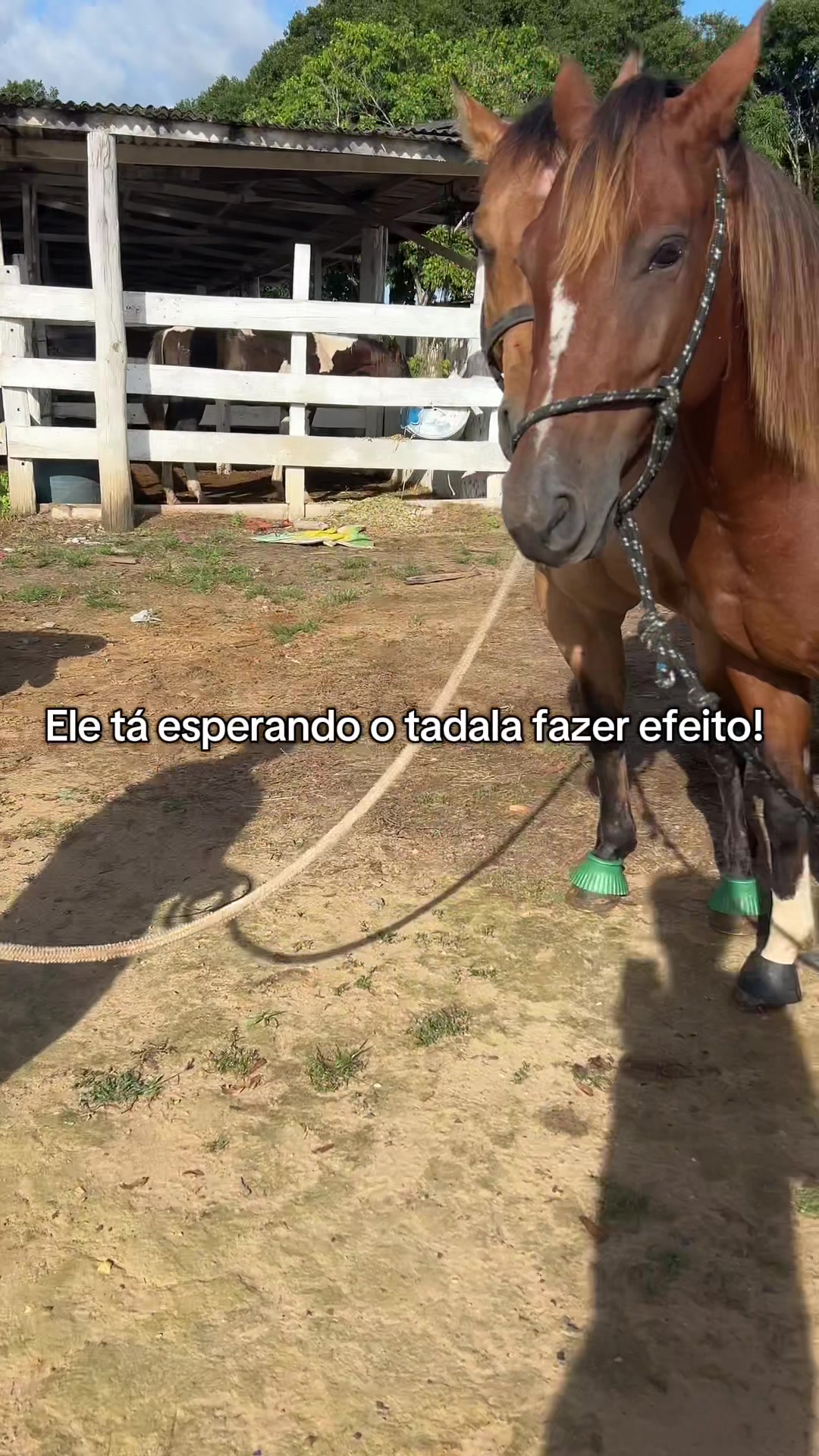 @Espanta Ranch