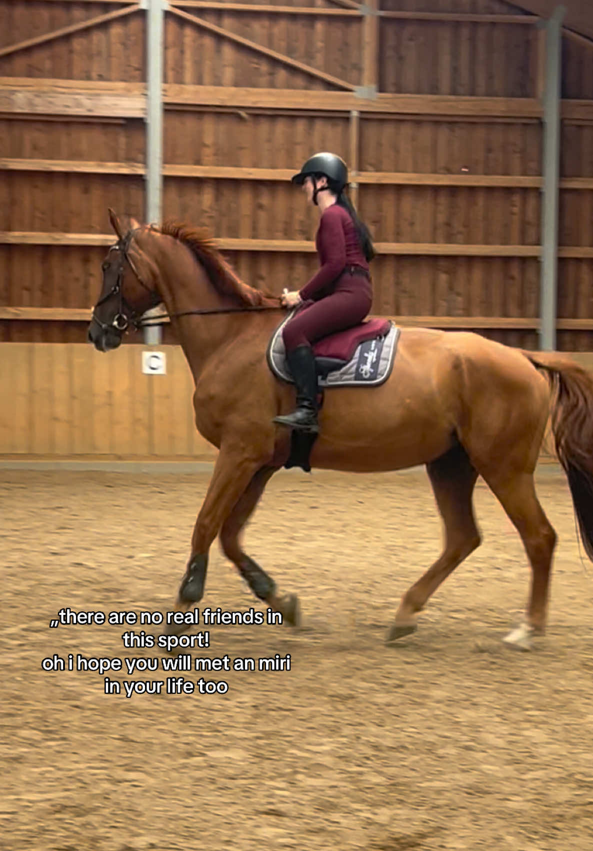 @annalisa.equestrian